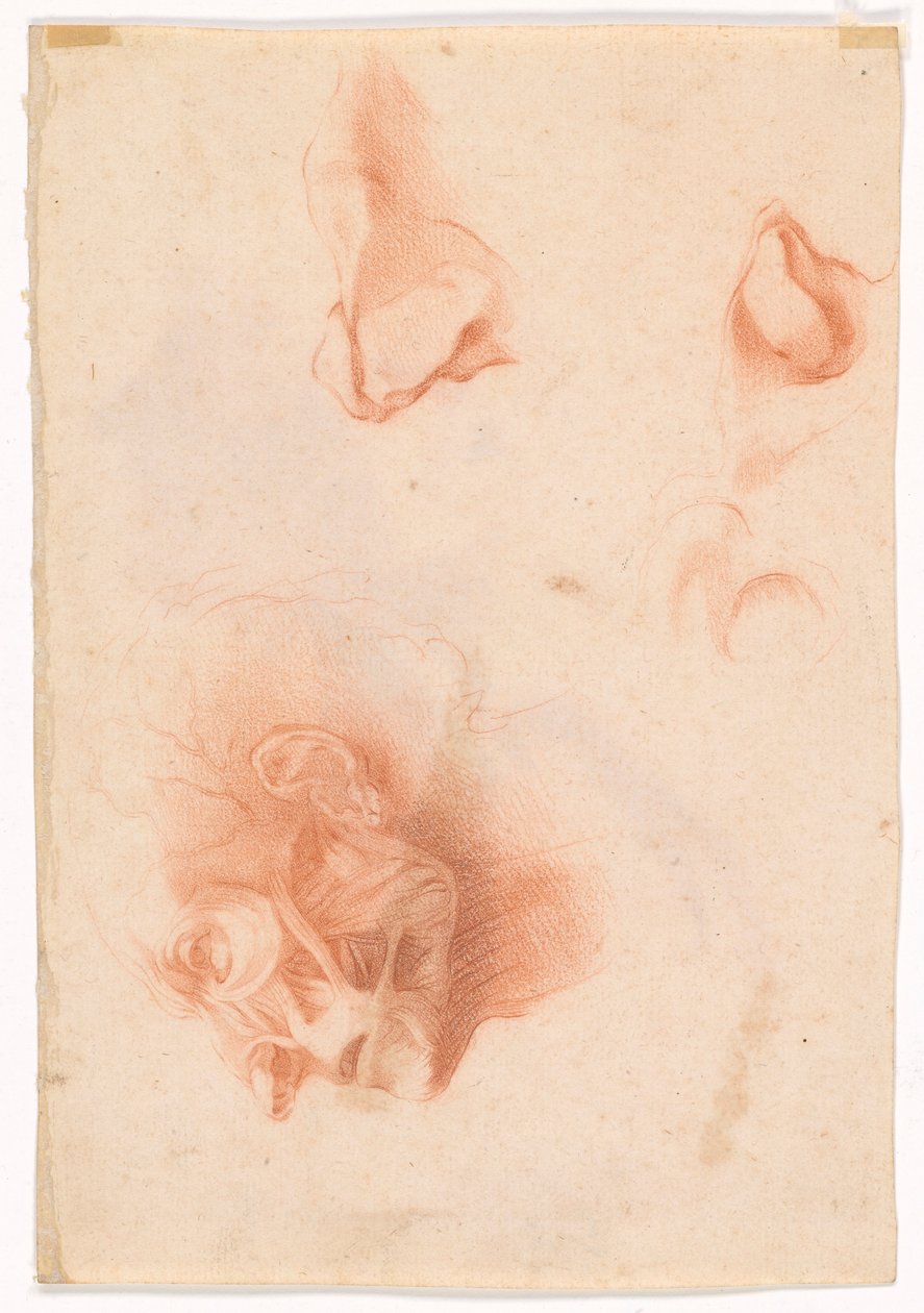 Hlava muže, tvář v profilu (recto); Anatomická studie, obličej v profilu (verze) od Pompeo Girolamo Batoni