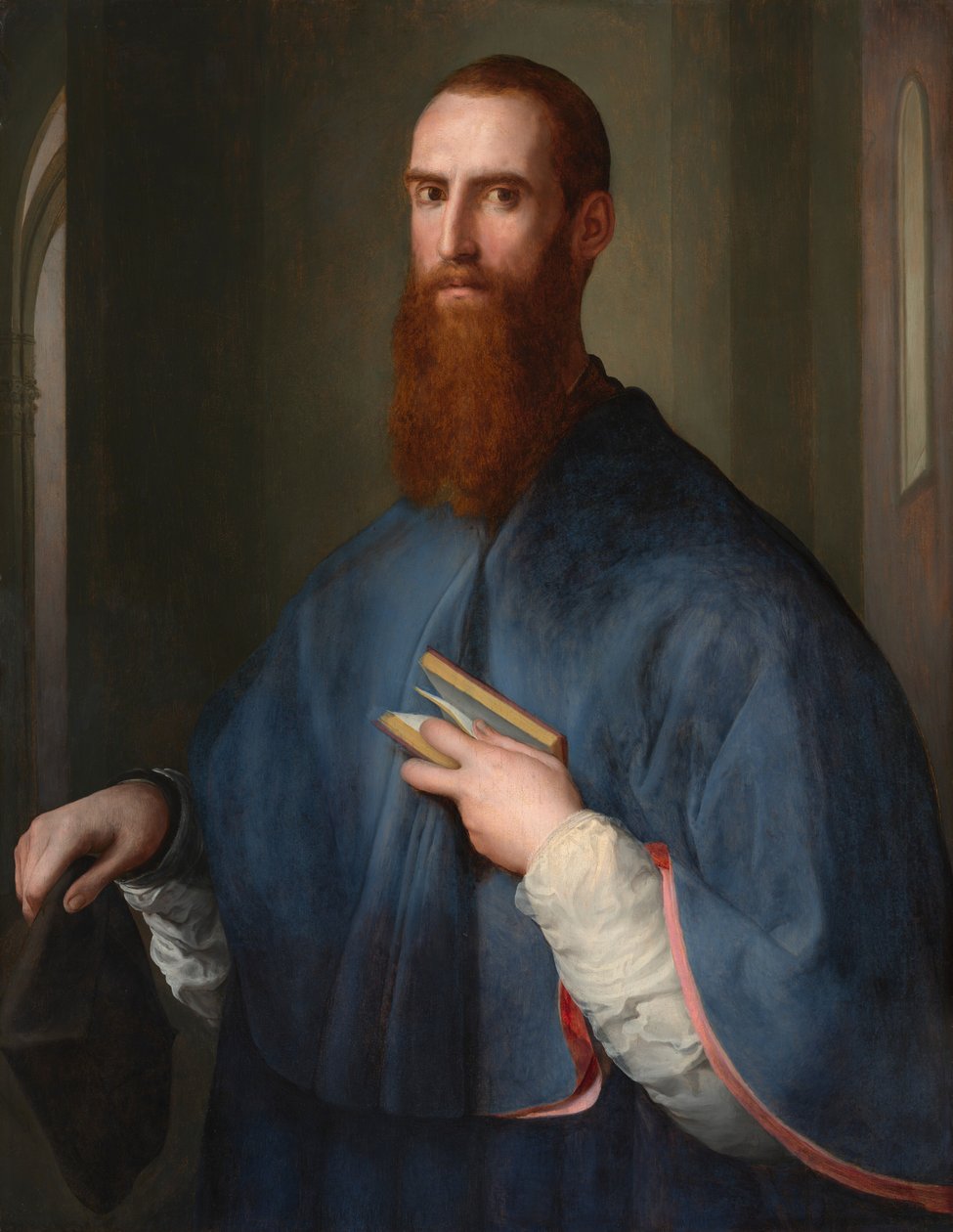 Monsignor sněmovny od Pontormo