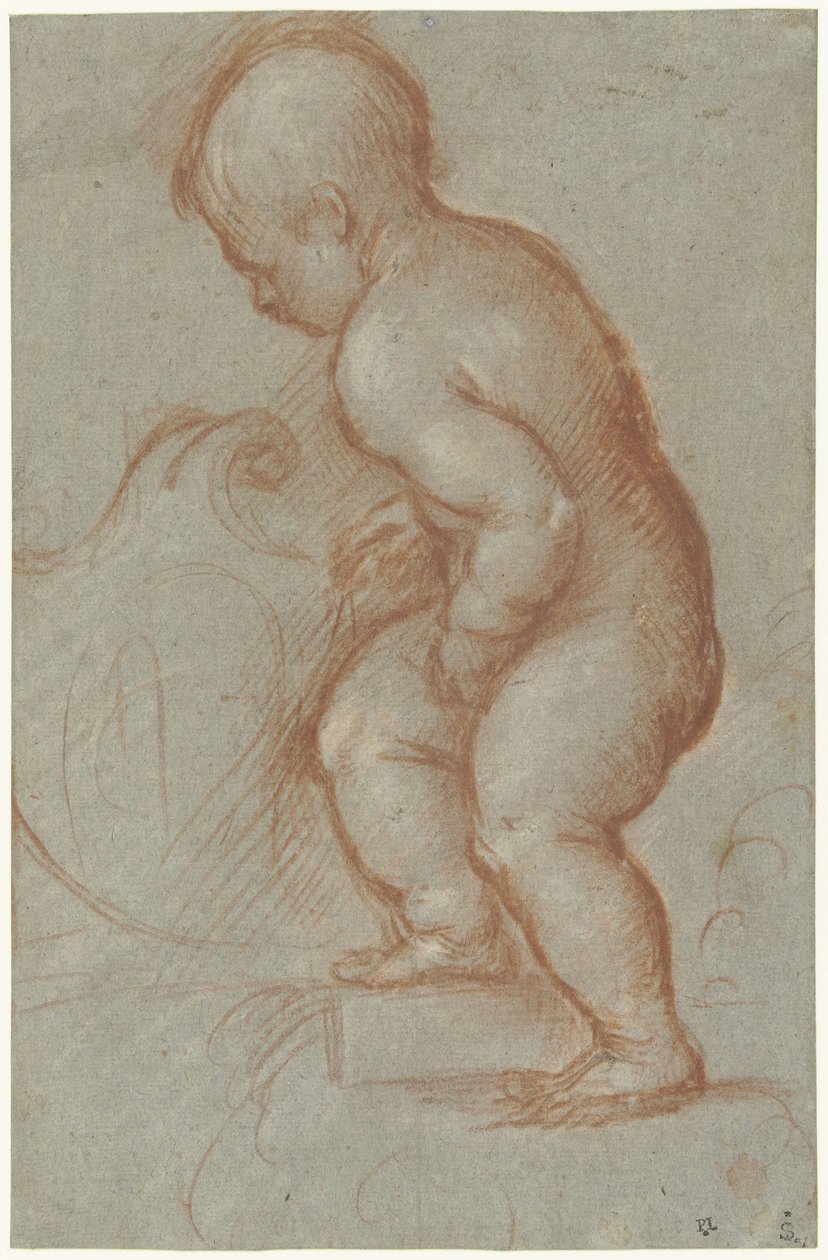 Putto s erbem od Pordenone (attributed to)