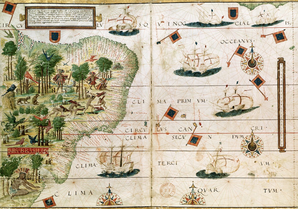 Brazílie z „Millerova atlasu“ od Pedra Reinela, kolem roku 1519 (podrobnosti viz 199955) od Portuguese School