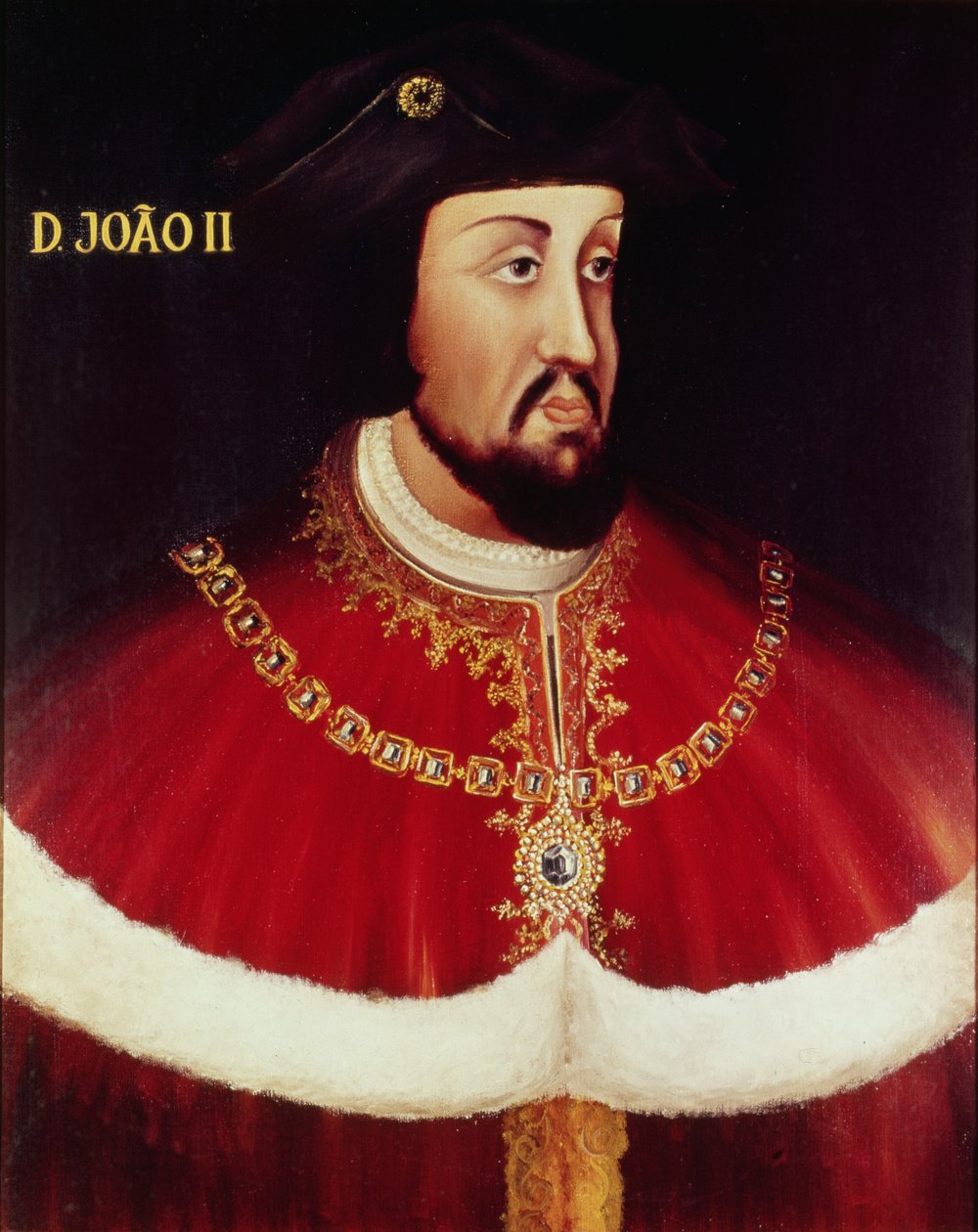 Portrét Jana II. Portugalského (1455-95) (panel) od Portuguese School