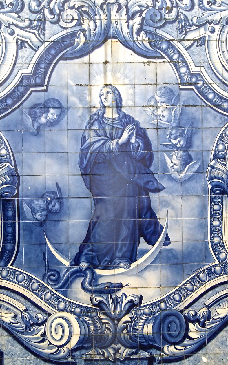 Detail dekorativního panelu zobrazující Pannu Marii drtící hada, Lamego, Portugalsko. 1738 od Portuguese School