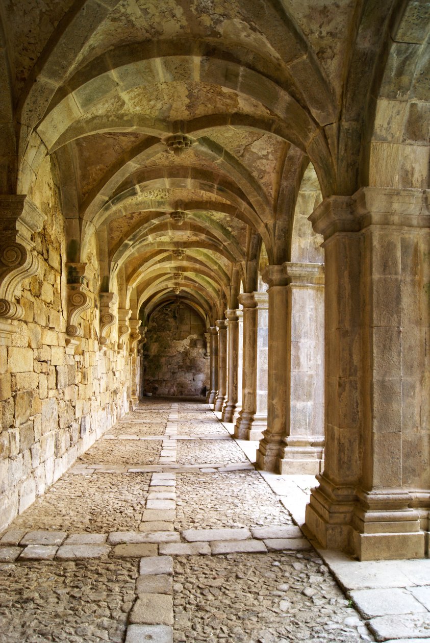 Pohled na kláštery, klášter Santa Maria de Salzedas, Tarouca, Portugalsko (kámen) od Portuguese School