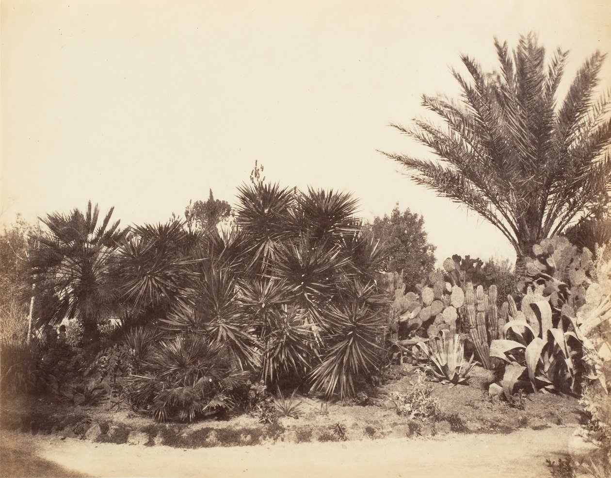 Pinciánova zahrada, Řím, 1853-56. od Possibly by Jane Martha St. John.