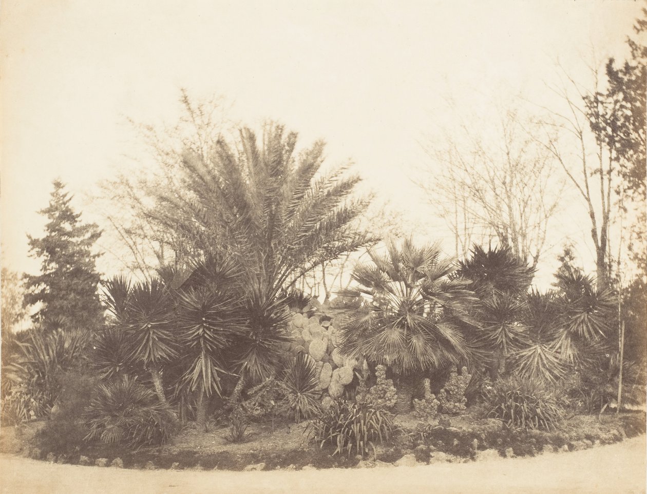 Pinciánova zahrada, Řím, 1853-56. od Possibly by Jane Martha St. John.