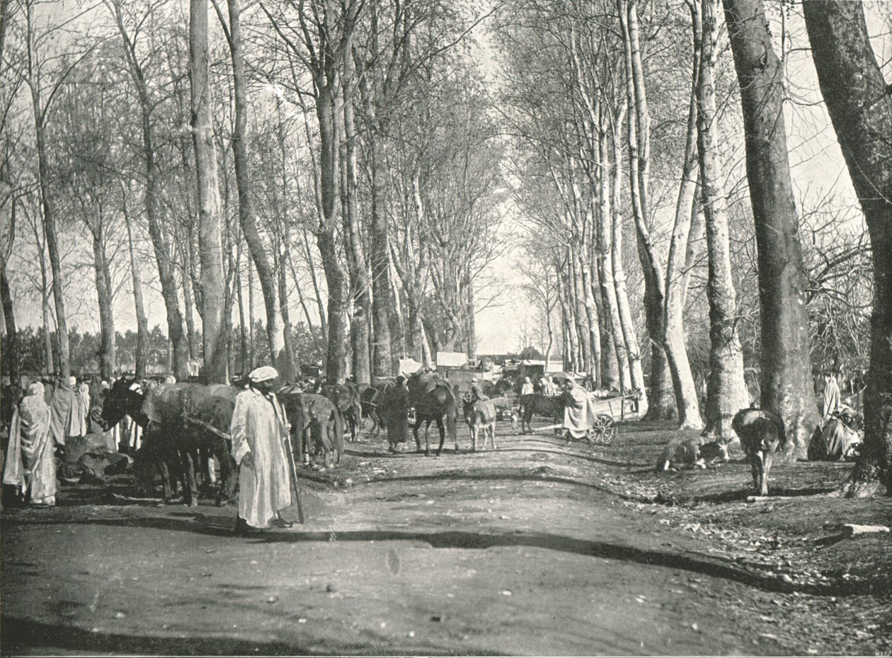 Arabský veletrh a trh, Boufarik, Alžírsko, 1895. od Poulton and Co