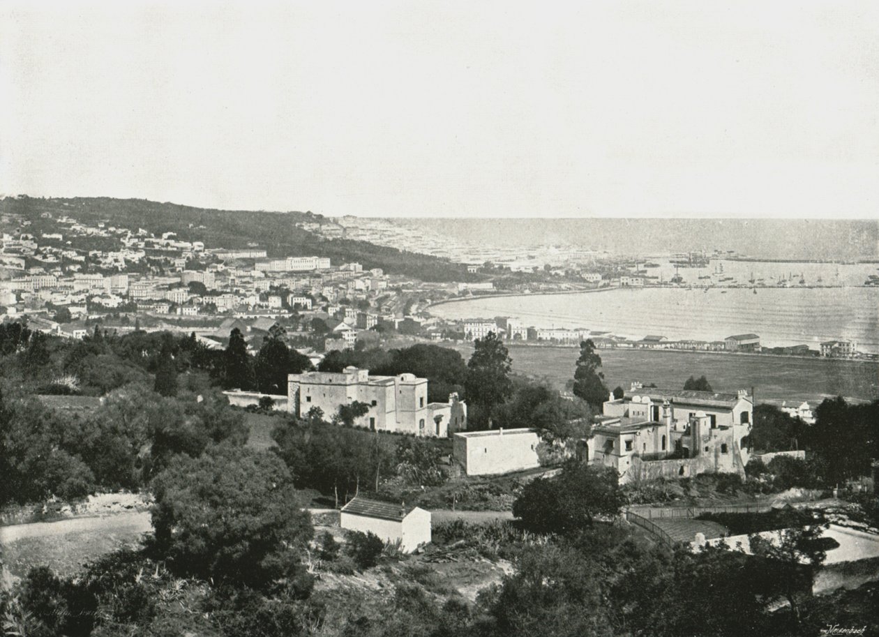 Pohled z Mustafy, Alžír, Alžírsko, 1895. od Poulton and Co