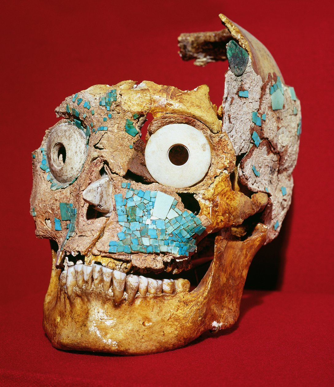 Lebka zdobená tyrkysovou a slonovinovou mozaikou, Mixtec, z Tomb 7, Monte Alban, 1300-1450 od Pre Columbian