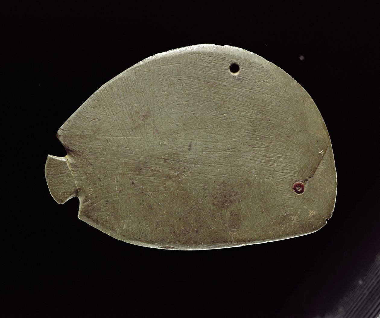 Rybí paleta, cca 3200 př. n. l. (zelená břidlice) od Predynastic Period Egyptian