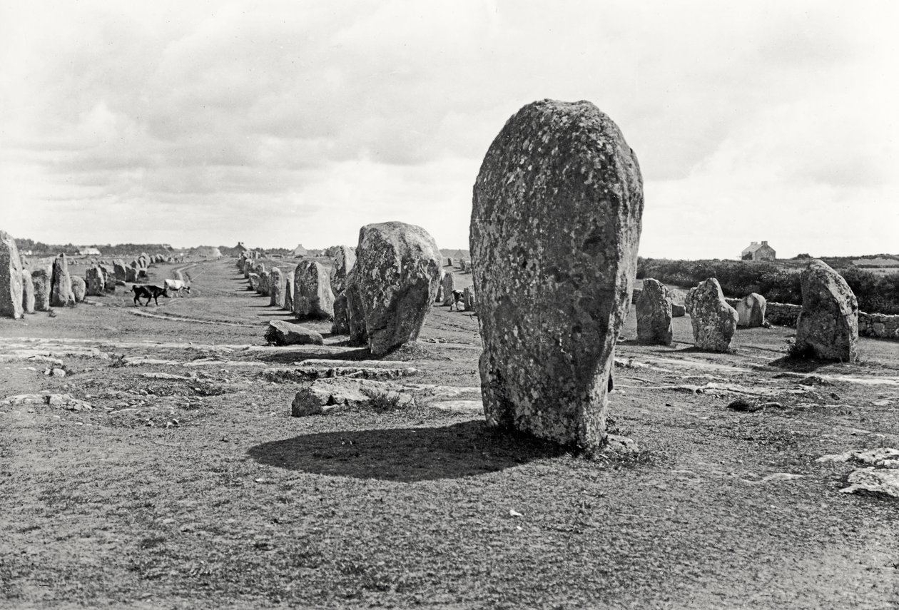 Zarovnání stojících kamenů, megalitické, 4.-3. tisíciletí před naším letopočtem od Prehistoric