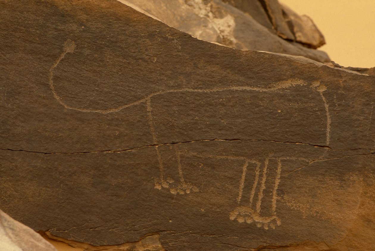 Zvíře (skalní řezba) od Prehistoric