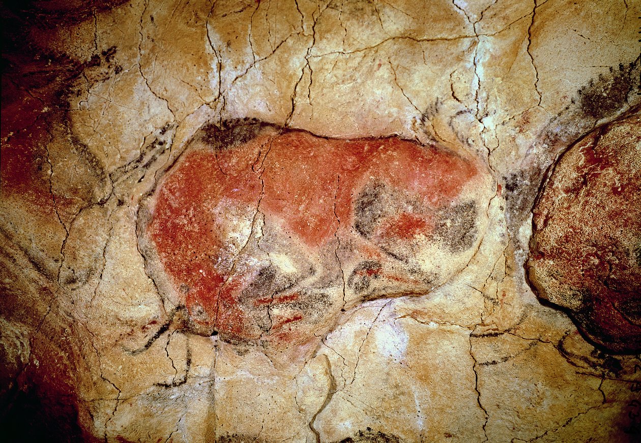 Bison z jeskyní Altamira, horní paleolit, cca 15000-8000 př.nl (jeskynní malba) od Prehistoric