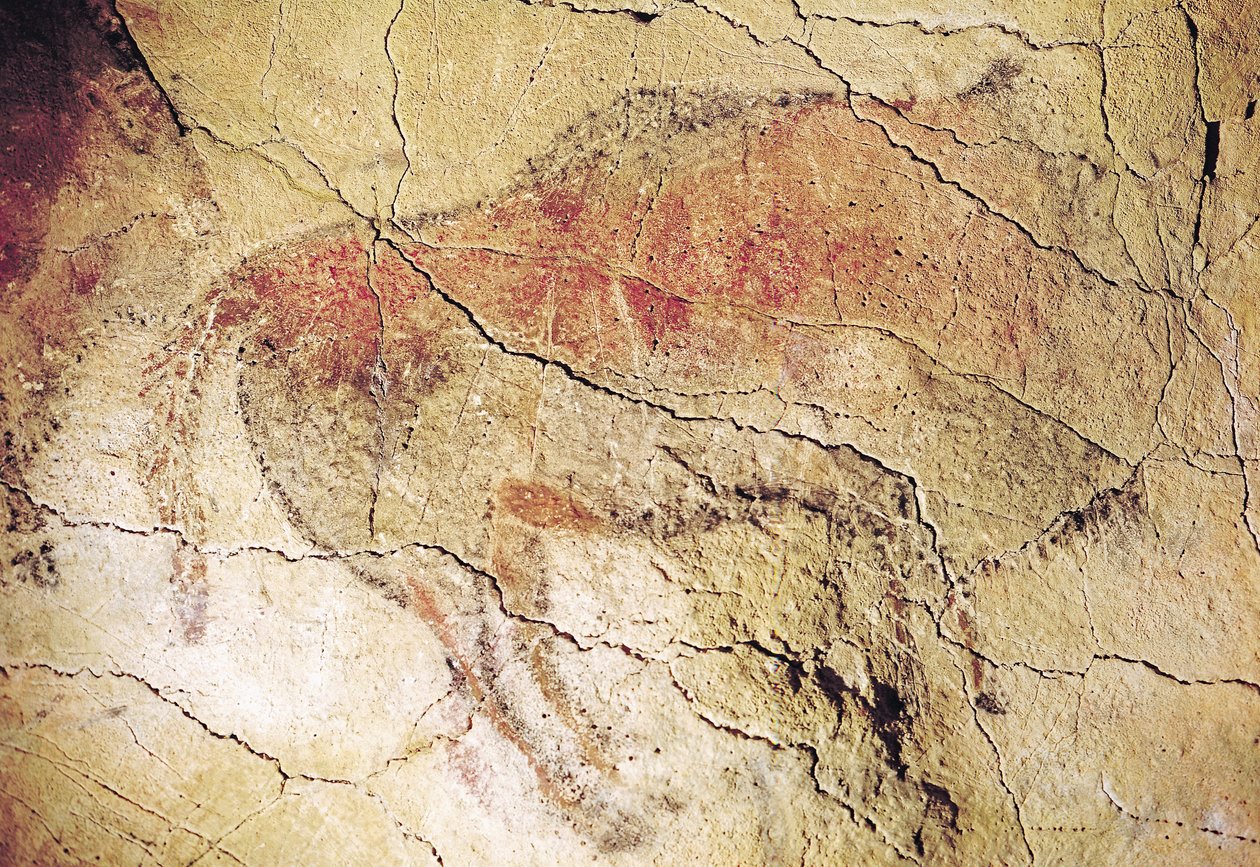 Bison z jeskyní v Altamiře, cca 15 000 př. n. l. (jeskynní malba) od Prehistoric