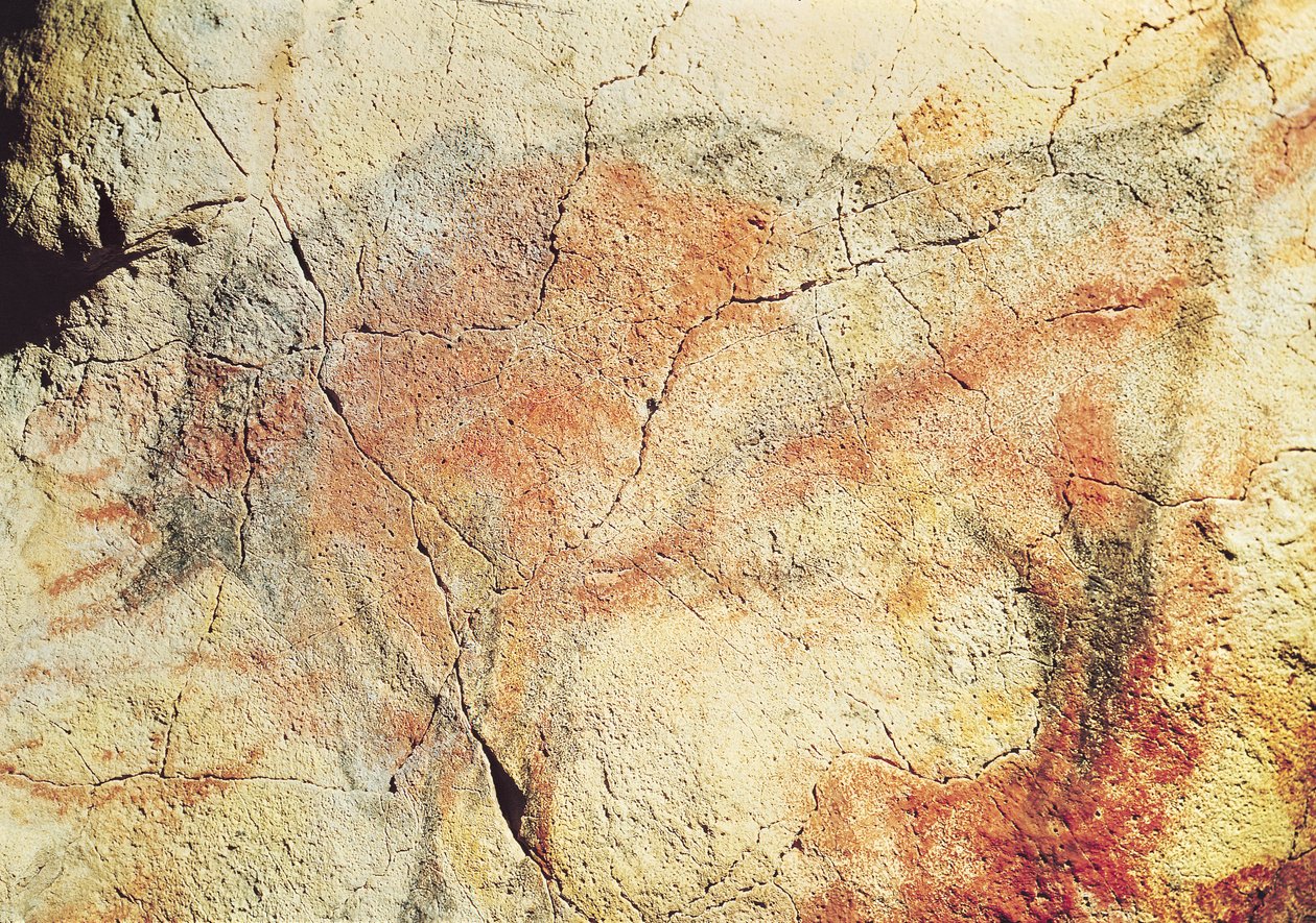 Bison, z jeskyní v Altamiře, cca 15 000 př. n. l. (jeskynní malba) od Prehistoric