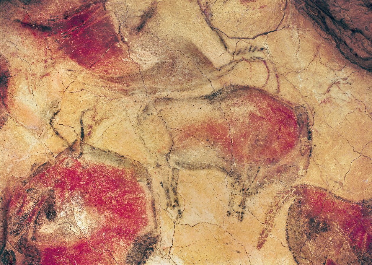 Bizoni, z jeskyní v Altamiře, cca 15000 př.nl (jeskynní malba) od Prehistoric