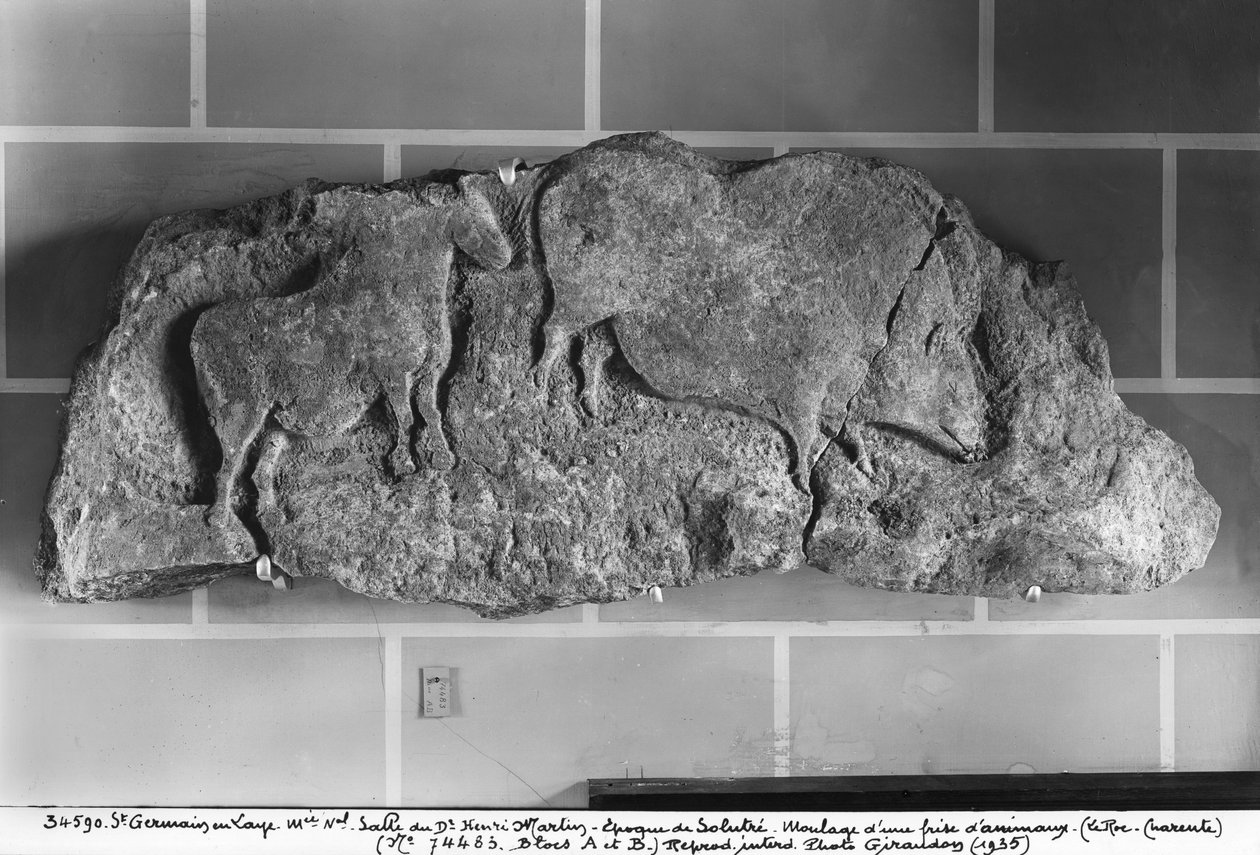 Odlitek zvířecího vlysu z Le Roc de Sers, Charente, období Solutrean, 20000-15000 př. n. l. (sádra) od Prehistoric