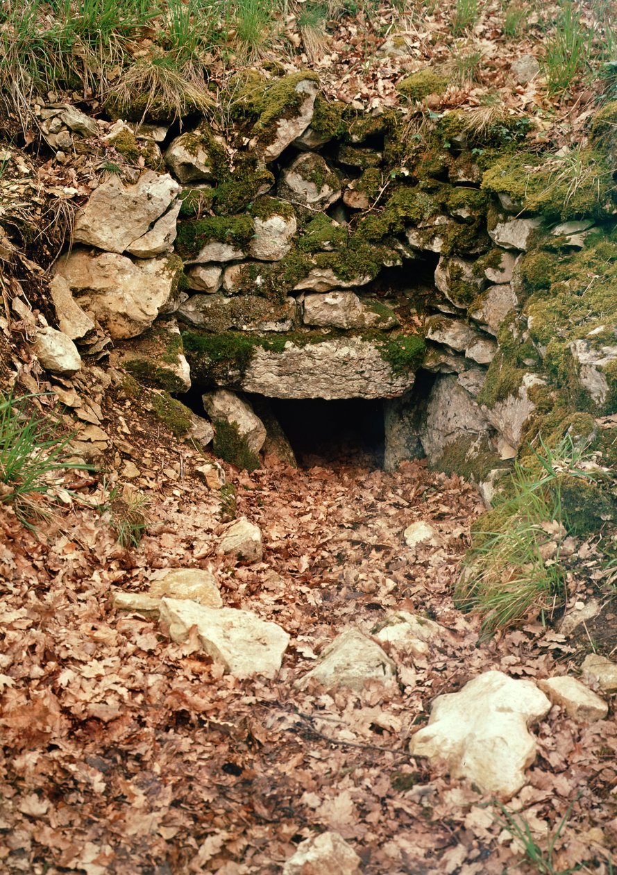 Krytý vchod do mohyly od Prehistoric