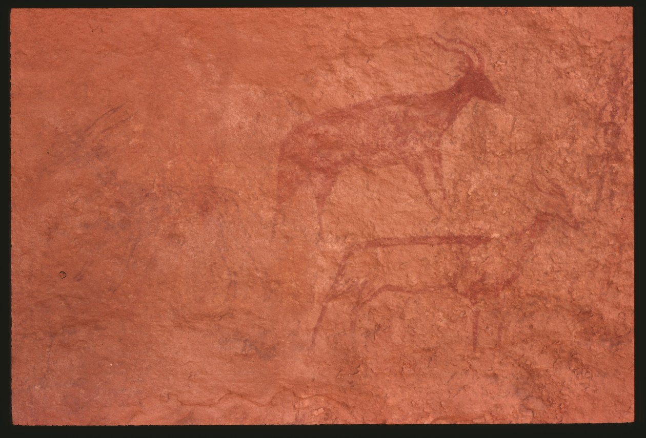 Krávy (skalní malba) od Prehistoric