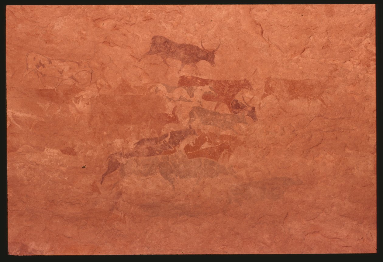 Krávy (skalní malba) od Prehistoric