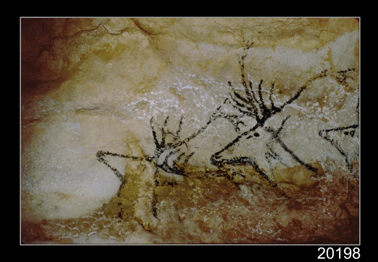 Vlys jelena, cca 17000 př.nl od Prehistoric