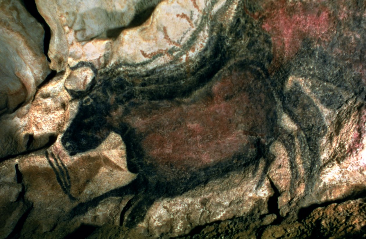 Skalní malba černého býka, cca 17 000 př. n. l. (jeskynní malba) od Prehistoric