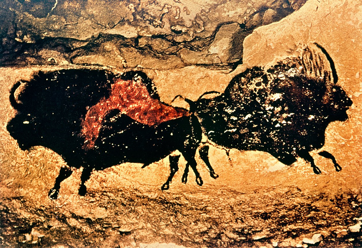 Skalní malba bizonů, cca 17 000 př. n. l. (jeskynní malba) od Prehistoric
