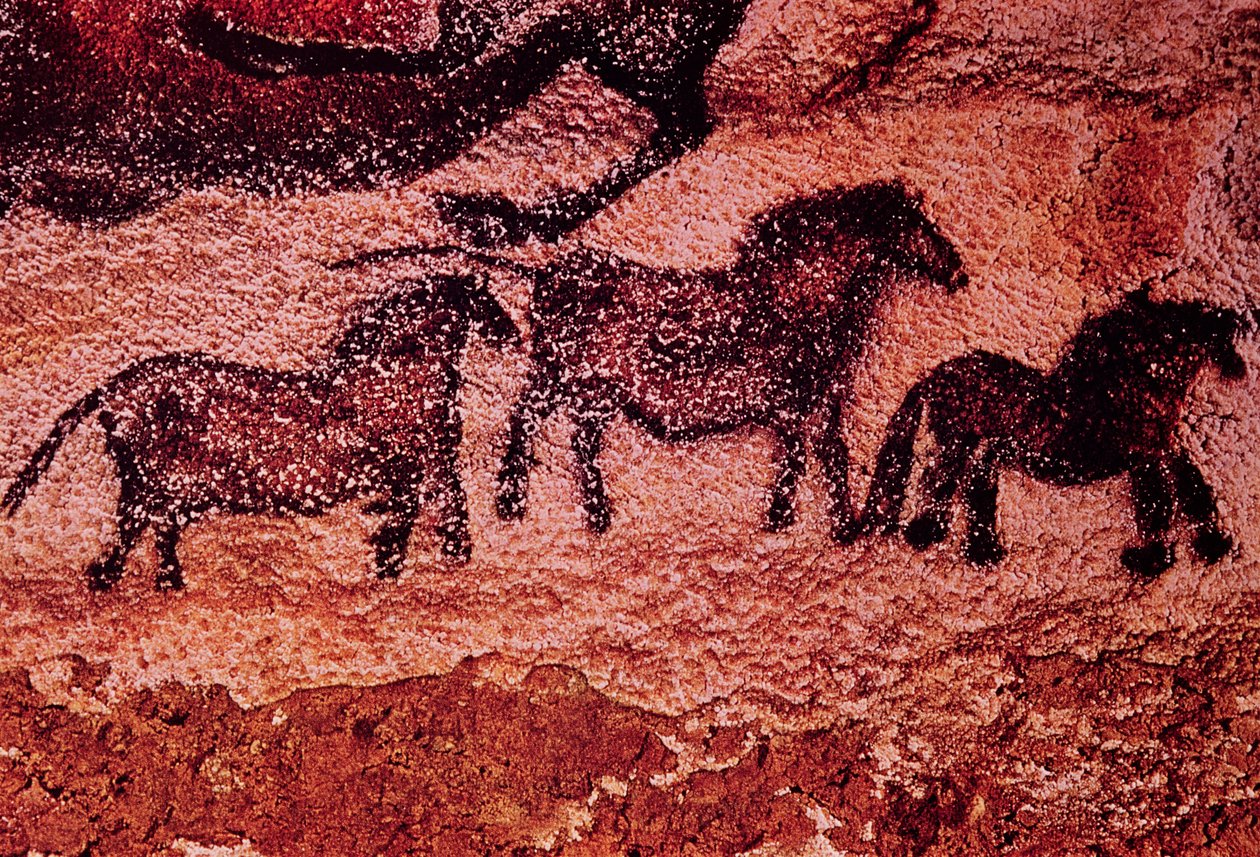 Skalní malba tarpanů (poníků), cca 17 000 př. n. l. (jeskynní malba) od Prehistoric