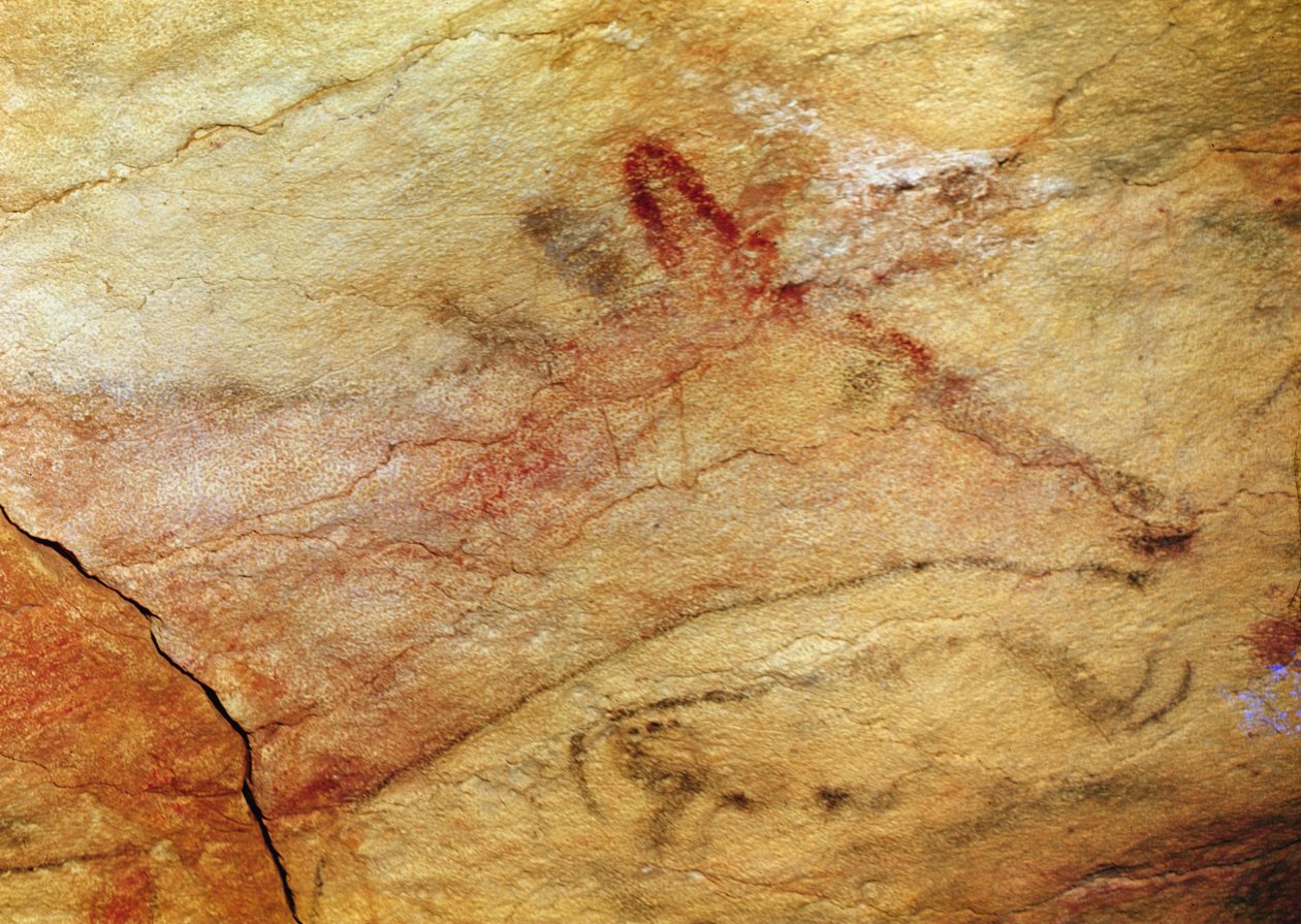 Jelen z jeskyní Altamira, cca 15 000 př. n. l. (jeskynní malba) (detail 42412) od Prehistoric