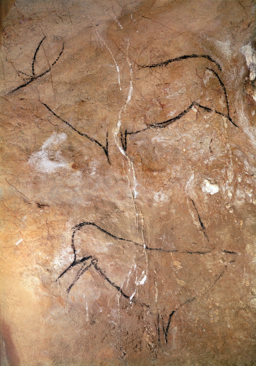 Dva jeleni, z jeskyní Altamira, cca 15 000 př. n. l. (jeskynní malba) od Prehistoric