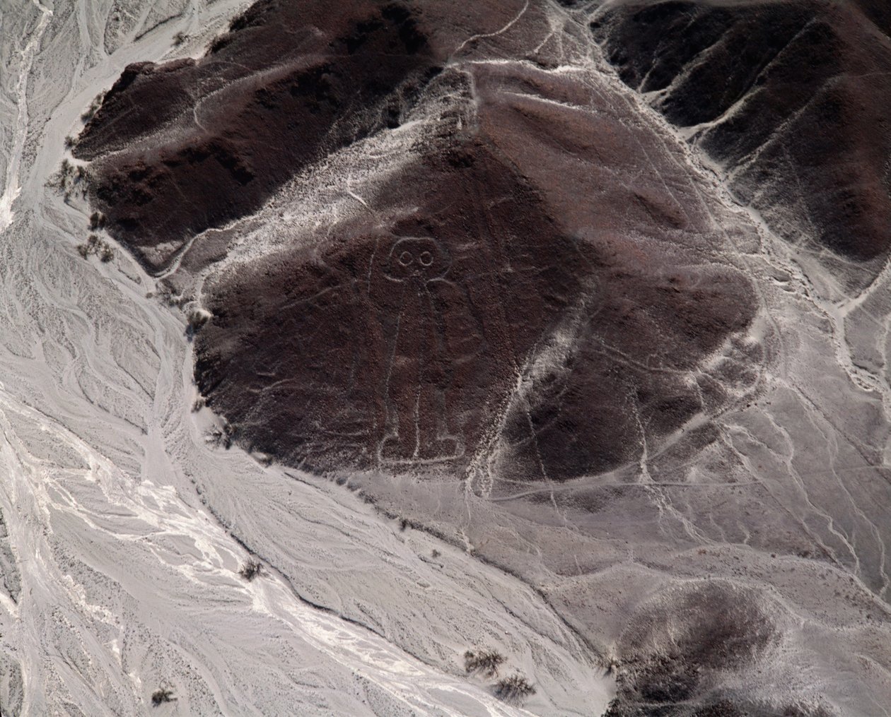 Letecký pohled na linie Nazca představující lidskou postavu (fotografie od Prehistoric Prehistoric