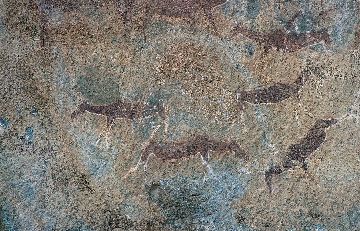 Postavy zvířat (jeskynní malba) od Prehistoric Prehistoric