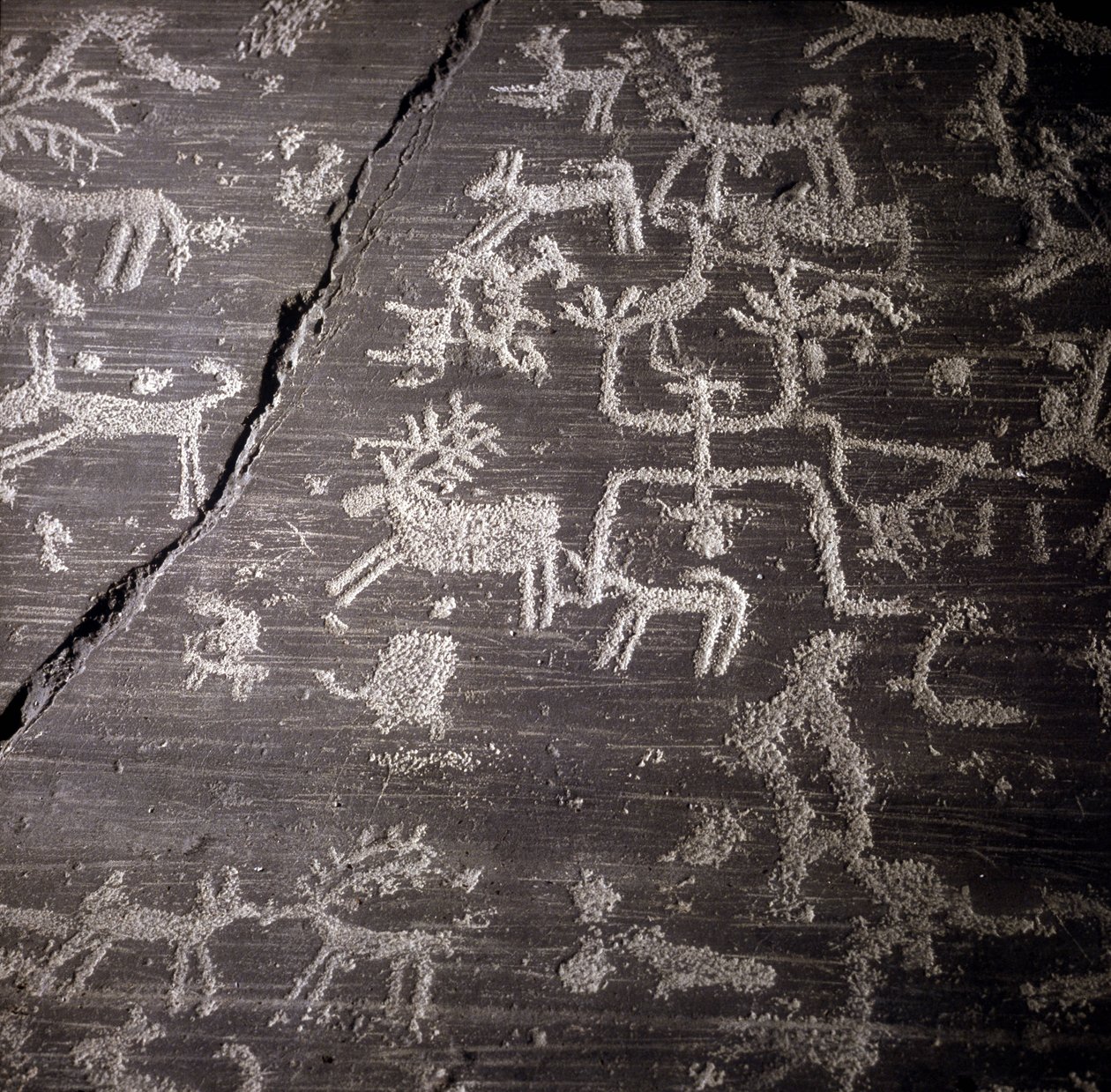 Civilizace Camunni, pravěk, skalní umění: hrobová skála, podrobnosti o velké skále Naquane, ve Valcamonica (Val camonica). Museo archeologico de Milan od Prehistoric Prehistoric