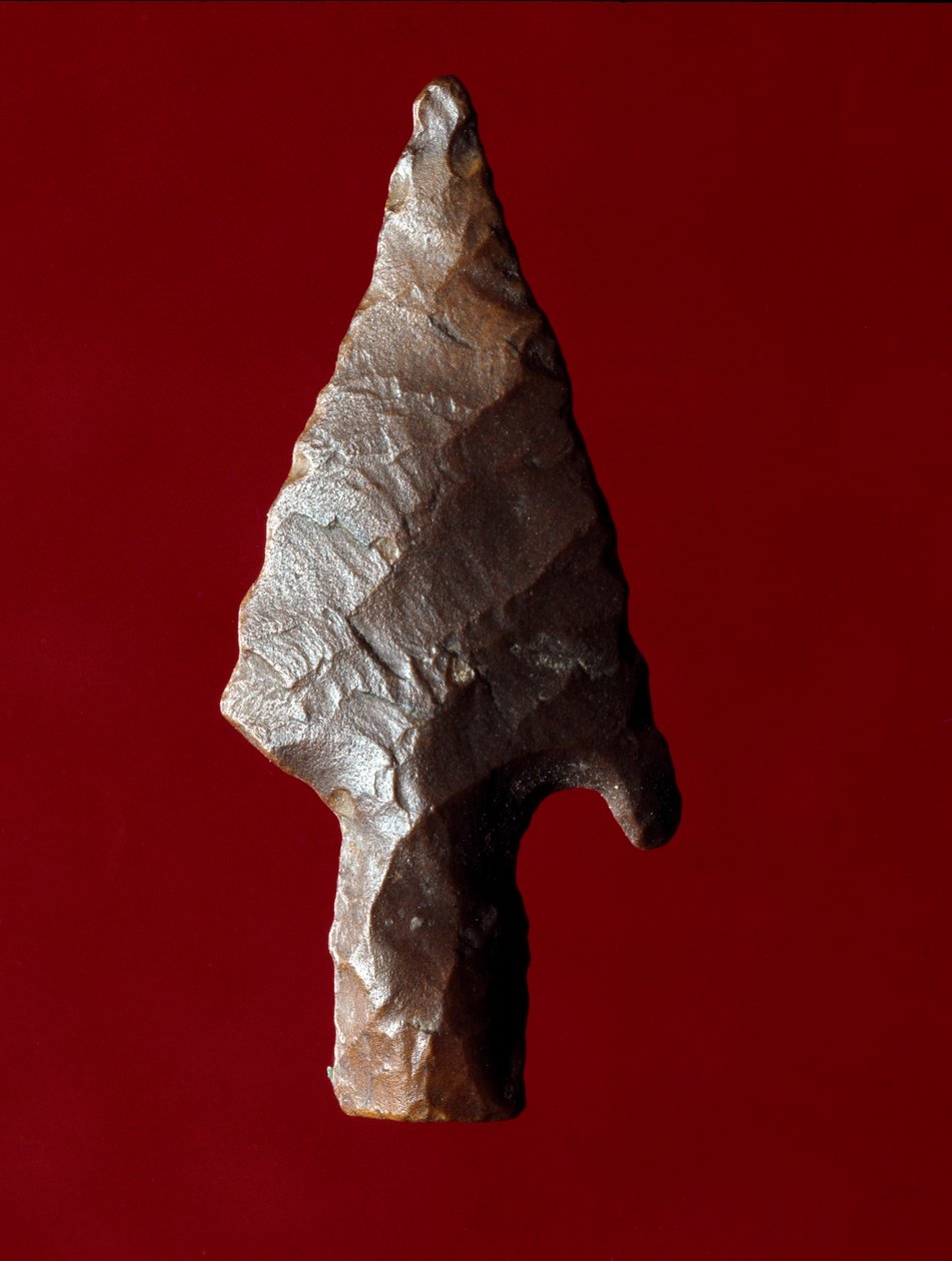 Egyptský starověk: hrot šípu z místa Fayoum (Fayyum nebo Fayum) v Egyptě. Predynastické období. Verone, Museo Civico di Storia Naturale, Itálie od Prehistoric Prehistoric