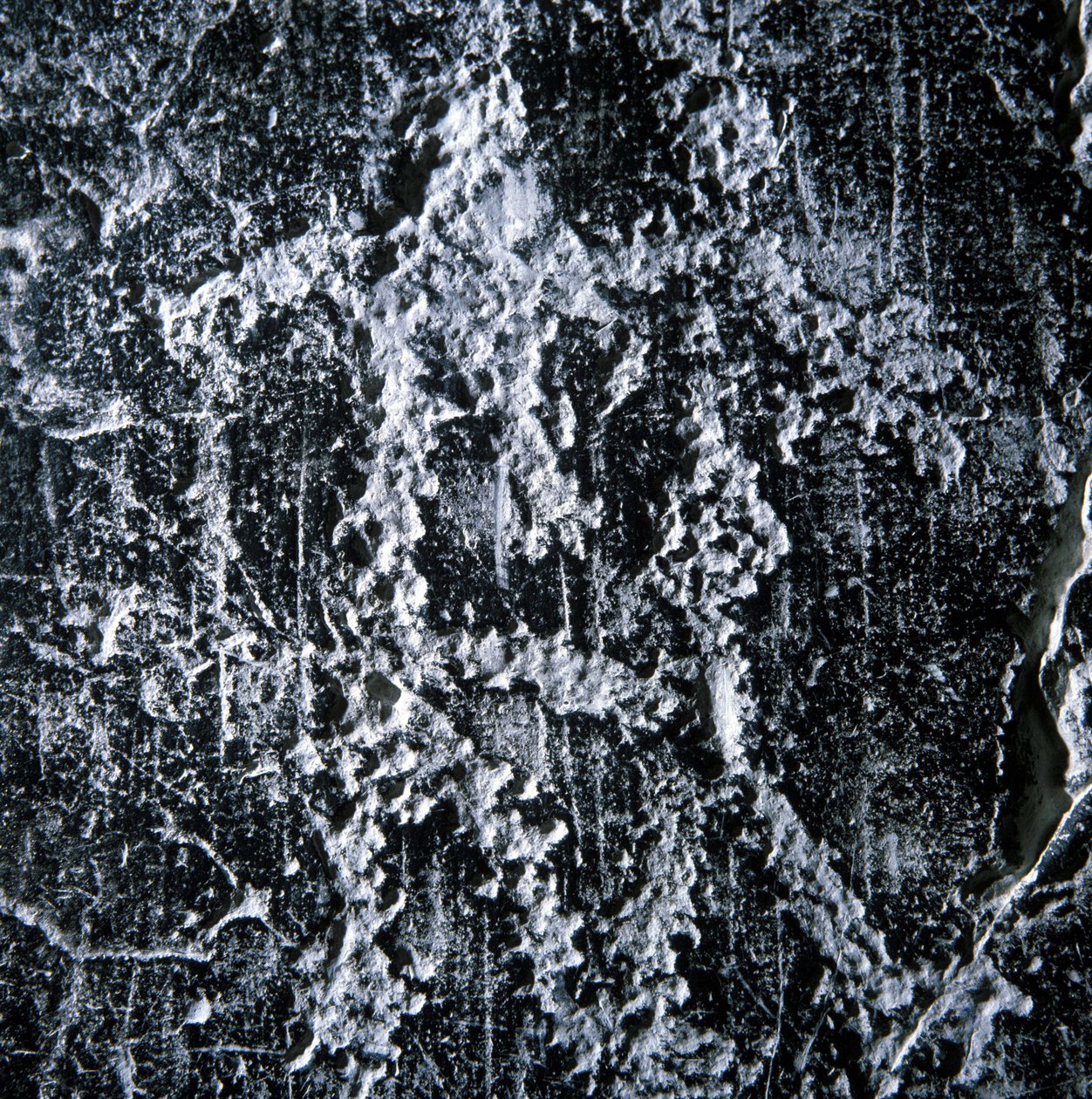Páření scéna. Prehistorické graffiti v údolí Camonica, Foppe di Nardo. od Prehistoric Prehistoric