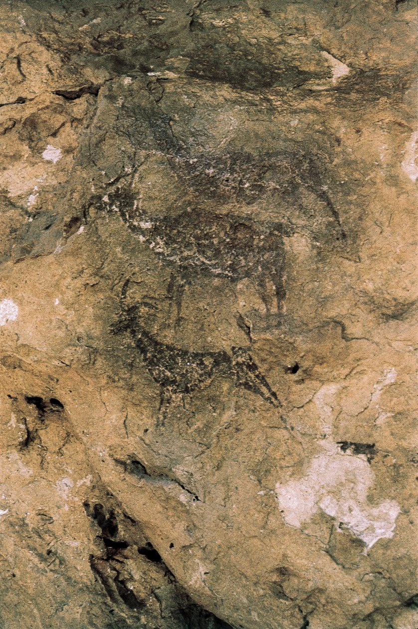 Mesolithic Rock Art: Jelen a kozy (8000-7000 př.nl), Španělsko, Bicorp, jeskyně La Arana (malba) od Prehistoric Prehistoric