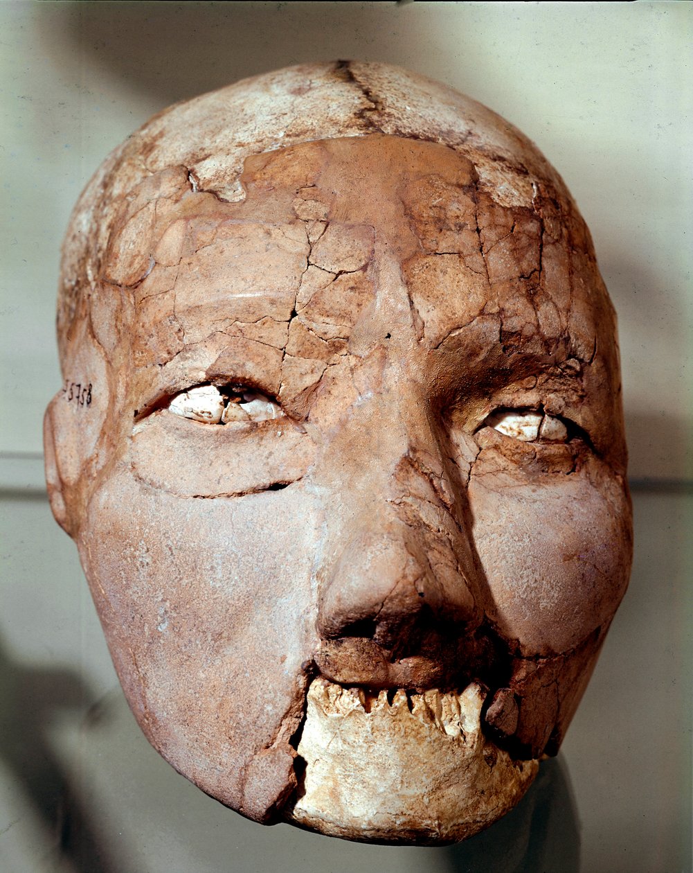 Závěsný od Prehistoric Prehistoric