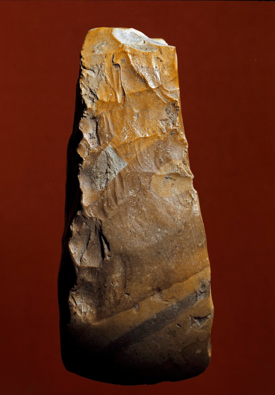Prehistoire: chopper typ nástroje litické výroby Kjokkenmoddinger, Dánsko. paleolit. Verone, Museo Civico di Storia Naturale, Itálie od Prehistoric Prehistoric
