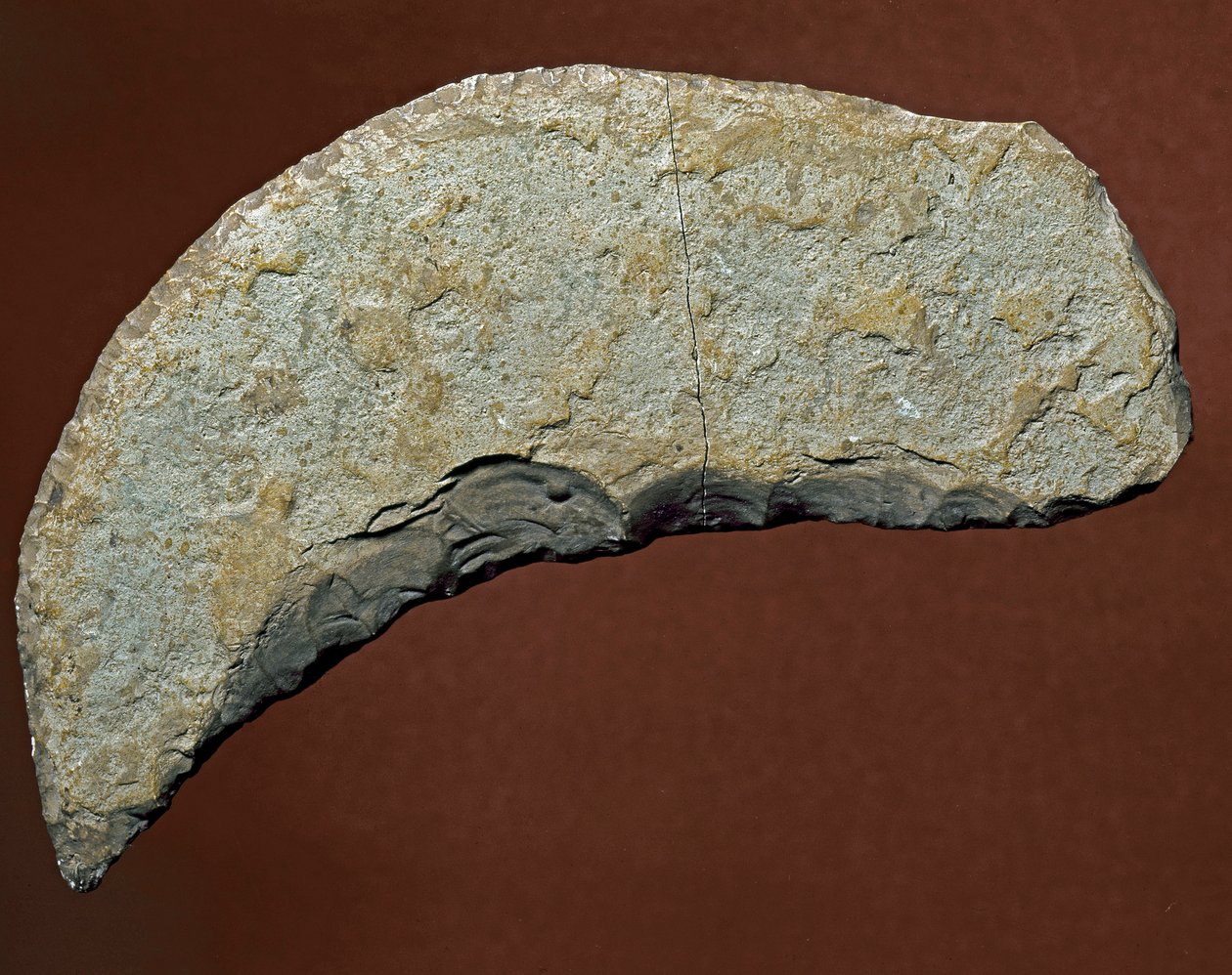 Prehistoire: chopper typ nástroje litické výroby Kjokkenmoddinger, Dánsko. paleolit. Verone, Museo Civico di Storia Naturale, Itálie od Prehistoric Prehistoric