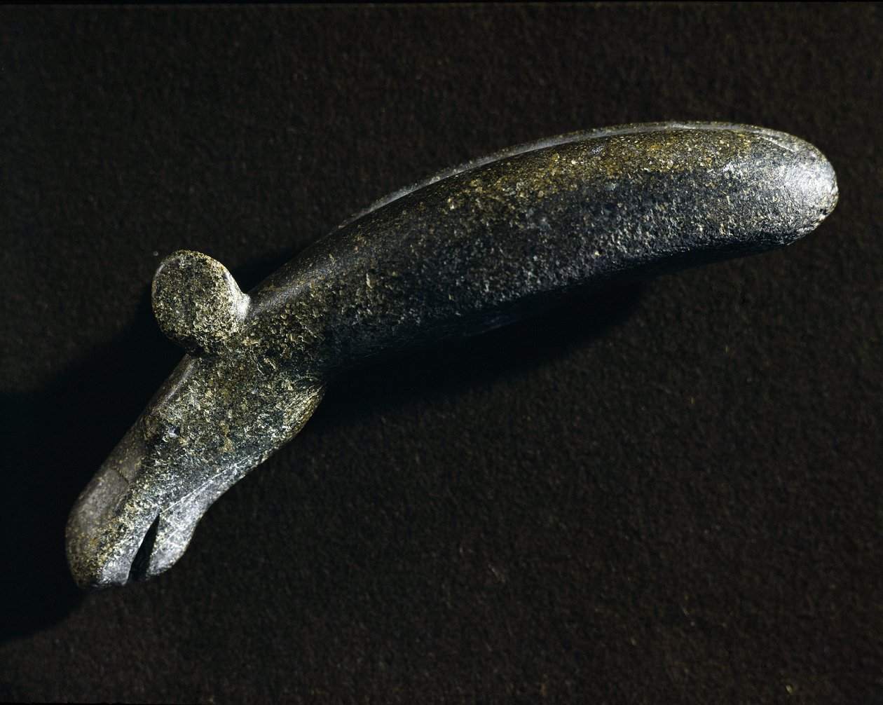 Prehistoire: dioritový nástroj ve tvaru elanu. Doba kamenná. Švédské muzeum národních památek, Stockholm Švédsko od Prehistoric Prehistoric