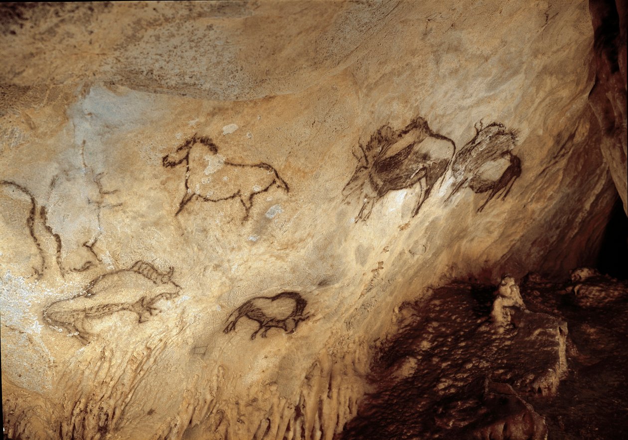 Prehistorie: „“Bison and Horses““ Skalní malba ze svrchního paleolitu (magdalénien) (před 13 000 lety) Santimaminová jeskyně z doby kamenné, Guernica, Španělsko – Pravěk: bizoni a koně – jeskynní malba, vrchní paleolit (magdalénien) (před 13 000 lety ) Kám od Prehistoric Prehistoric