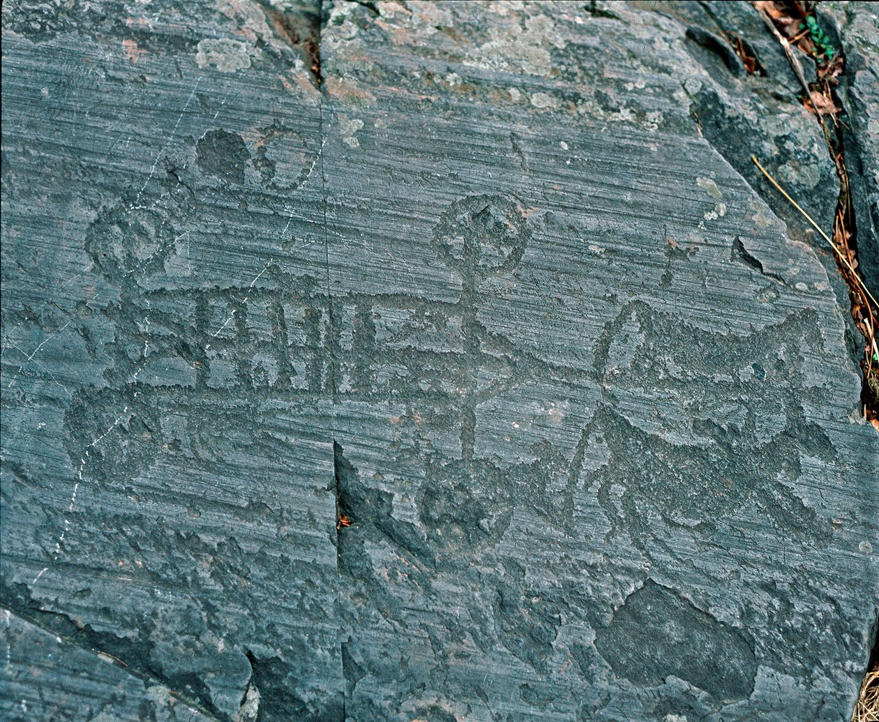 Prehistorie: civilizace Camunni: vůz vystřelený koňmi, kola jsou znázorněna paprsky a koně jsou z profilu ve snaze prospektovat. Skalní rytina skály 23 od Naquane (Valcamonica, Val Camonica, Brescia). Období mezi neolitem a br od Prehistoric Prehistoric
