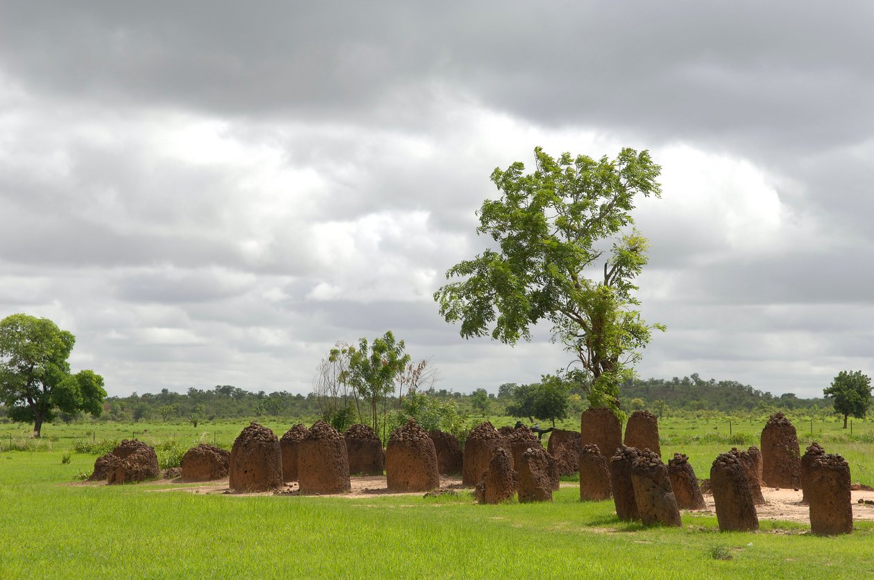 Pravěk: Megalitický kruh kamenů z Wassu, Gambie (foto) od Prehistoric Prehistoric