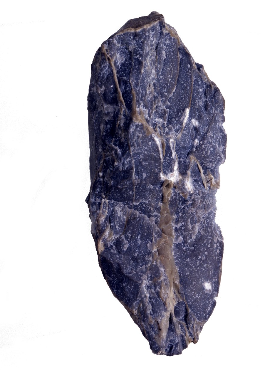 Pravěk: Období archeozoika nebo prekambria (archaika) úlomku horniny Collenia typu stromatolit nebo stromatolit. Ze Spojených států. od Prehistoric Prehistoric