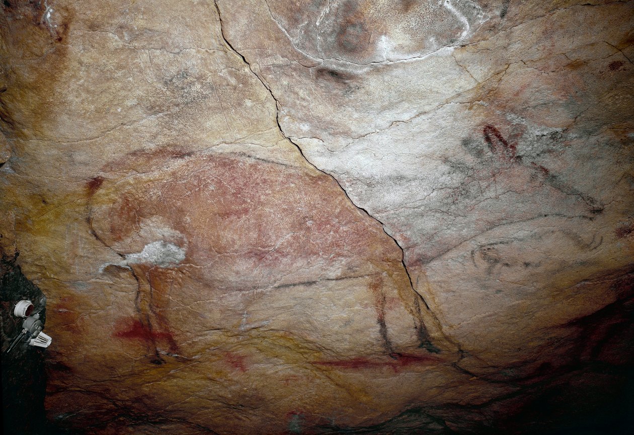 Pravěk: skalní malba „“jelen“ z horního paleolitu (magdalénien) (mezi 16500 a 14000 lety) Jeskyně z doby kamenné Altamira, Santander, Španělsko od Prehistoric Prehistoric