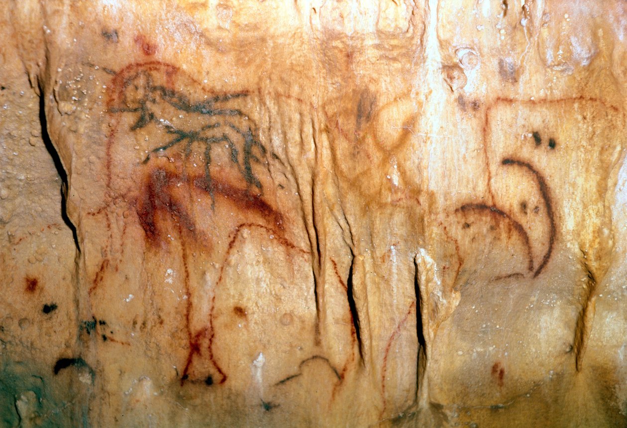Pravěk: zraněný muž (skalní malba) od Prehistoric Prehistoric