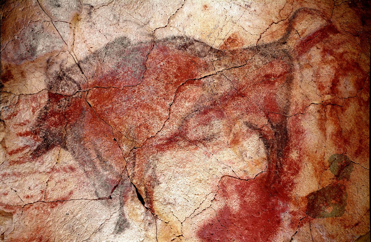 Prehistorie: „bizoni v klidu““ skalní malba svrchního paleoloitu (magdalénien) (mezi 16500 a 14000 lety) Jeskyně bizonů z doby kamenné, Altamira, Santander, Španělsko od Prehistoric Prehistoric