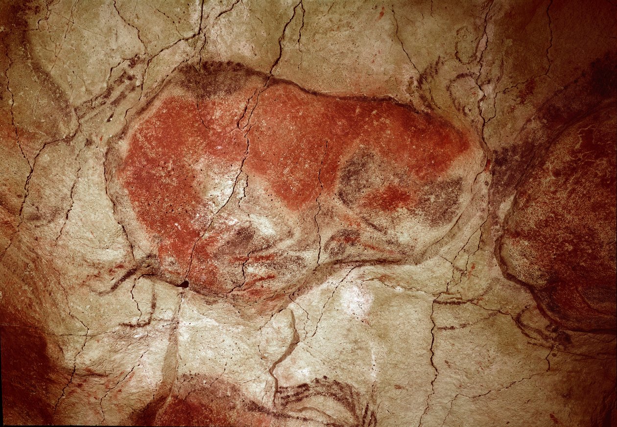 Pravěk: „“bizon v klidu““ skalní malba svrchního paleoloitu (magdalénien) (mezi 16500 a 14000 lety) Jeskyně bizonů doby kamenné, Altamira, Santander, Španělsko – Pravěk: bizon v klidu. skalní malba, svrchní paleolit (magdalénien) (mezi 1 od Prehistoric Prehistoric