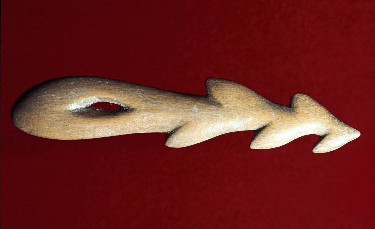 Pravěk: kostěná harpuna používaná k rybolovu. Kultura magdalénienu, svrchní paleolit. Verona, Museo Civico di Storia Naturale od Prehistoric Prehistoric