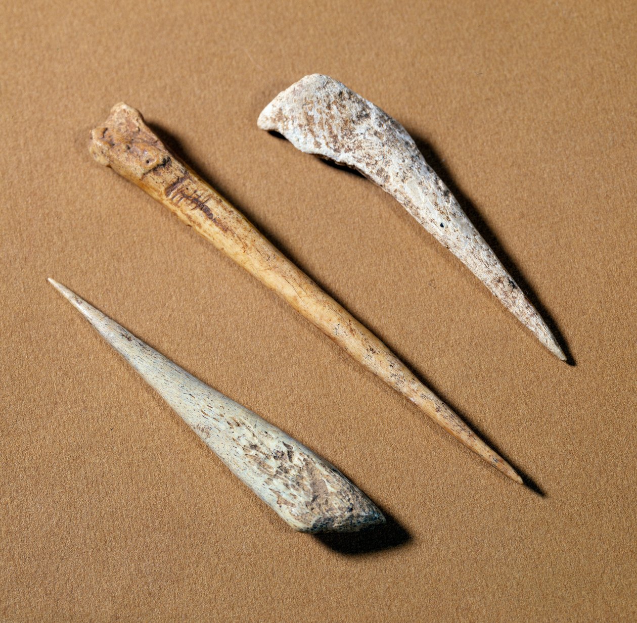 Pravěk: kostěný okoun pocházející z paleolitu. Saint-Germain-en-Laye, muzeum starožitností od Prehistoric Prehistoric