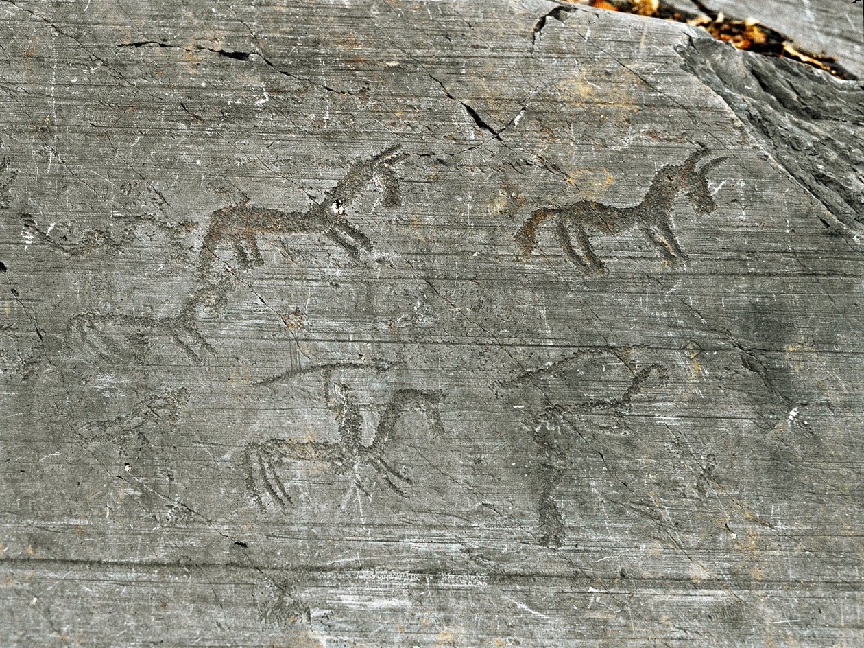 Prehistorie, civilizace Camunni, skalní umění: vážná skála lovecké scény, lovec máchá kopím. Období mezi neolitem a dobou bronzovou. Capo di Ponte, Národní park Naquane Rock Carvings, Valcamonica, Val Camonica, Itálie od Prehistoric Prehistoric
